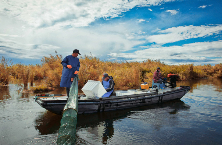 新疆北屯：魚肥蟹美正當時